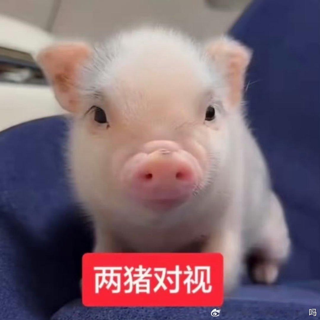 还有俩天就是我家新团代官宣的日子了gm已经迫不及待的想要把国内大屏海外大屏地广都
