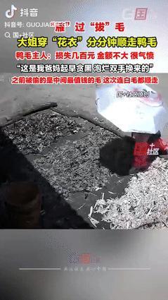 “严惩到底！”广西玉林，一大姐拿着编织袋，花1分钟将地上的鸭毛“顺走”，鸭毛主人