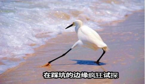 最近618，很多人都在网上看各种家电攻略，为的就是买到靠谱的产品，但仍有不少人是