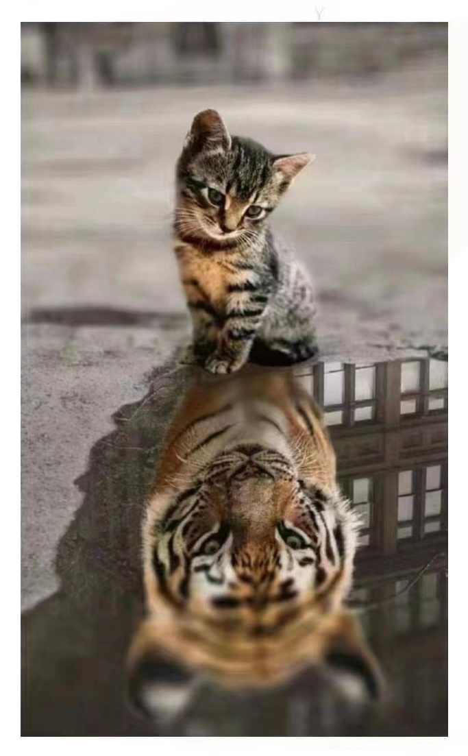 企业宣发新品有三种风格打法：饱和式：直接拉满，铺天盖地，锣鼓喧天…任务式：标准干