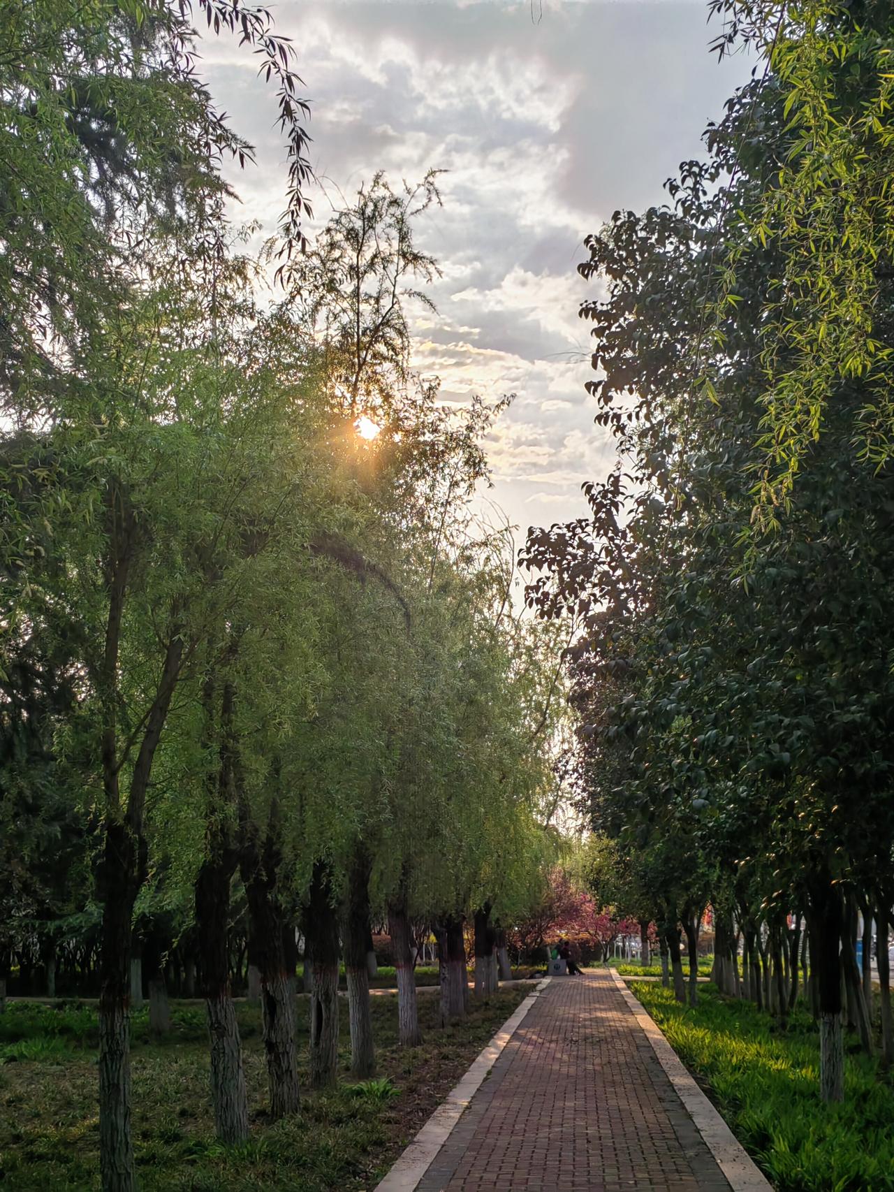 当一个人不再联系你,你该怎么办?那就谁都不联系谁呗，人家必有人家的道理。
与任何