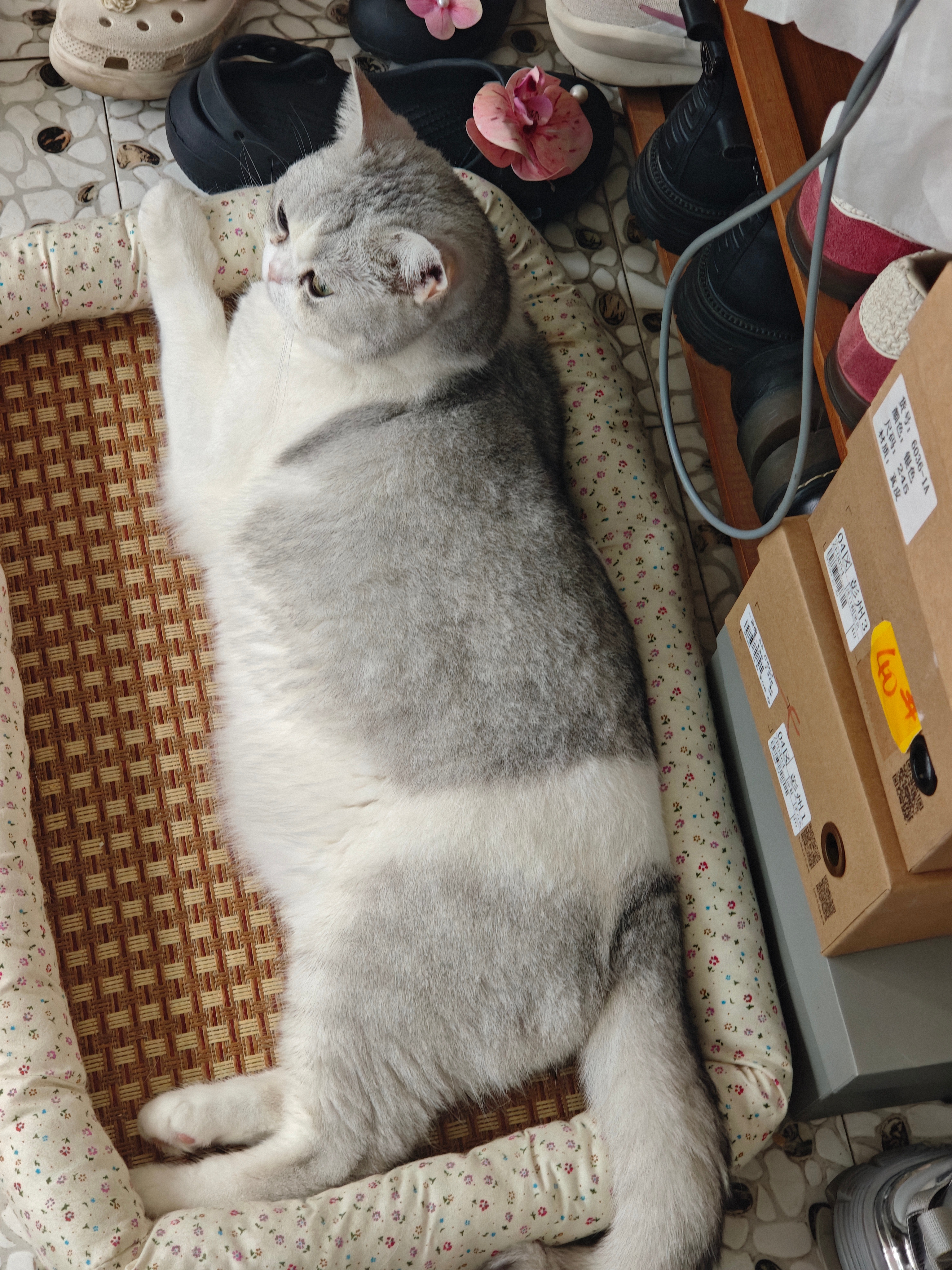 我刚醒你俩耶刚醒