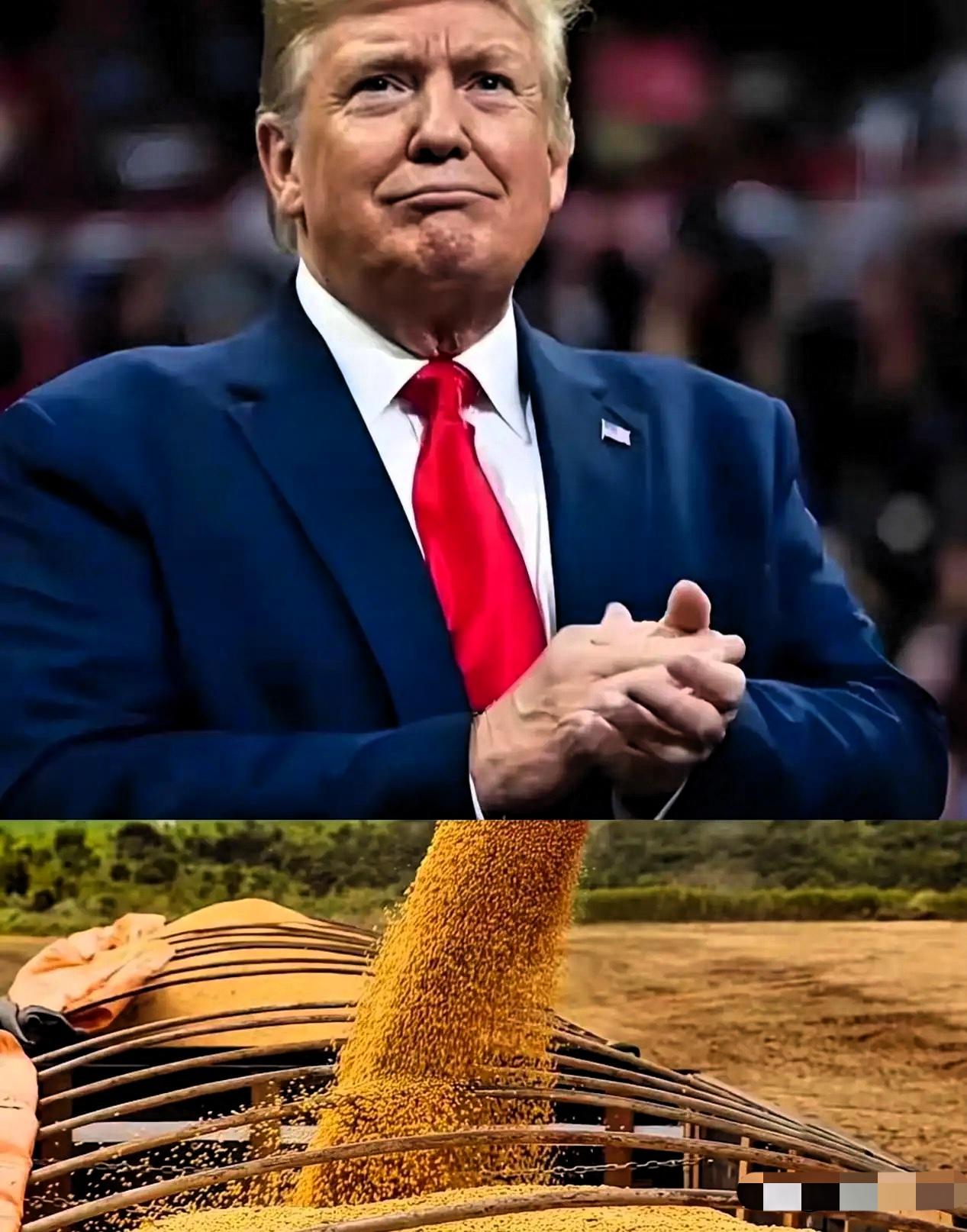 果真被大家猜对了，
18万吨大豆刚交易成功，
特朗普就在社交媒体上发声称这与芬太