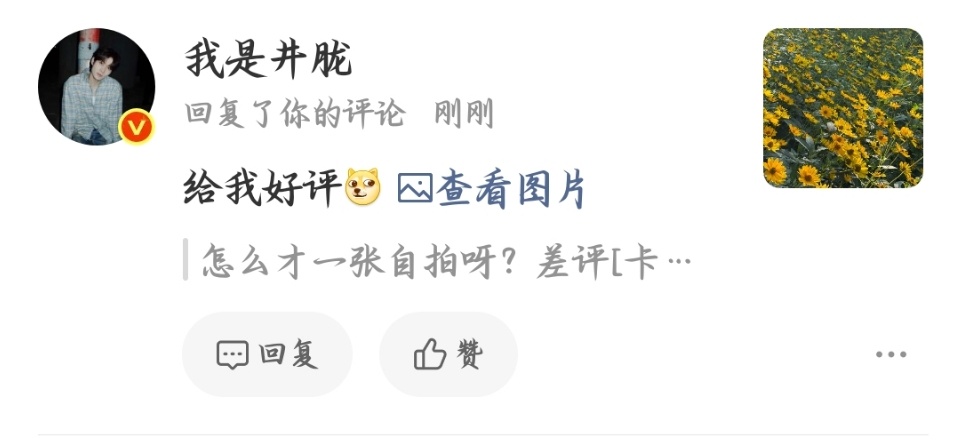 哥哥终于理我了🥺🤲 
