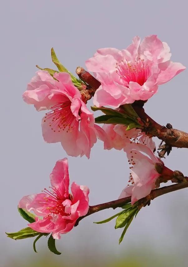 2005年，我前往南方打工，乘坐了20多个小时的火车。到站时，已经是下午6点多了