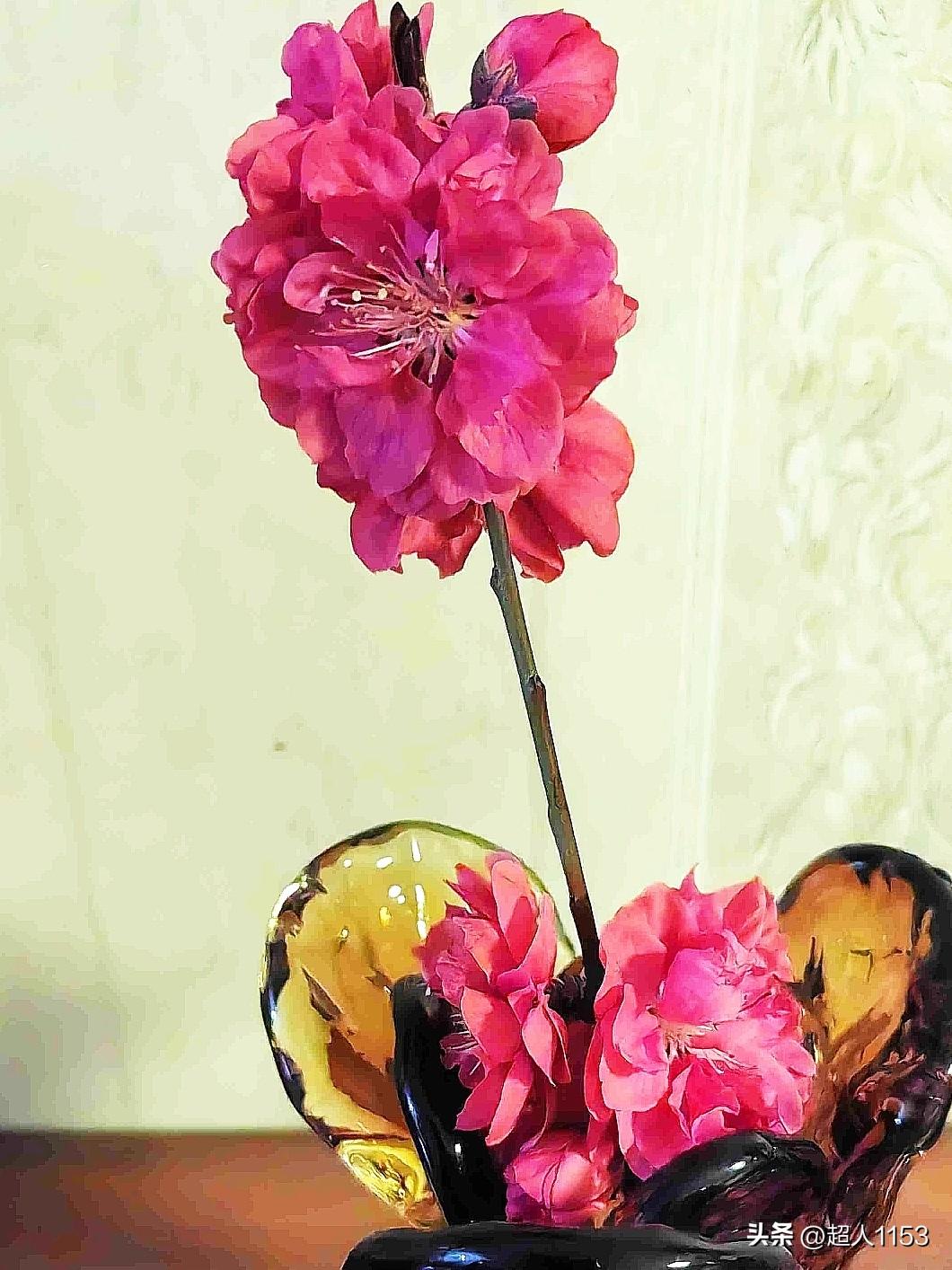 昨天的小雨加着雷声，
淅淅沥沥的下个不停。

春天的雨贵如油，
助地里的庄稼发芽