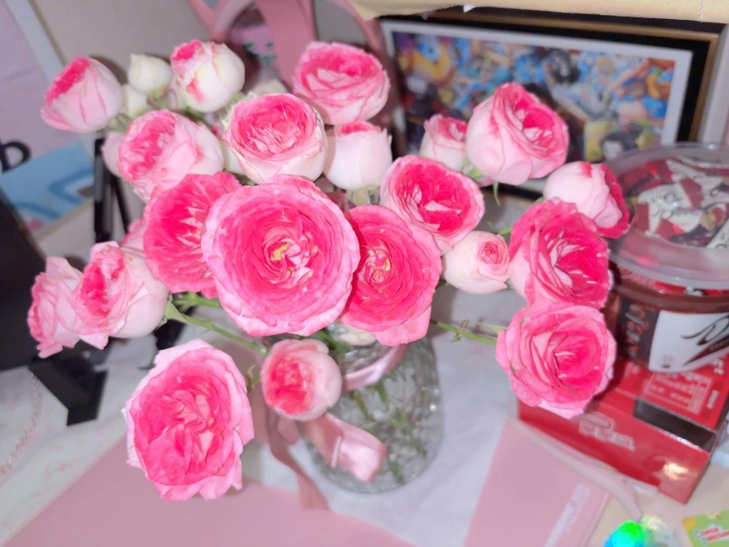 亲密度₊₅+5⁺⁵