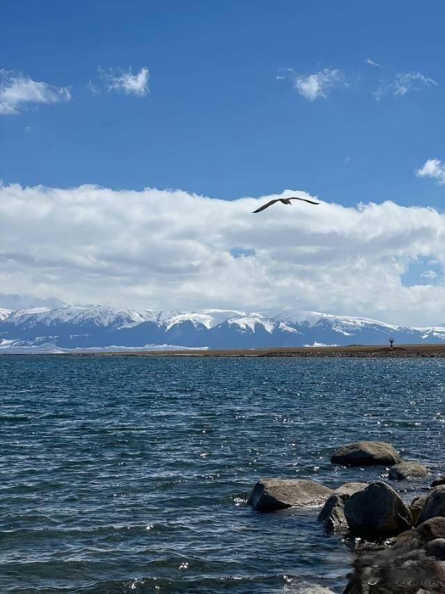 梦启新疆·心向远方
 
远赴人间惊鸿，一睹新疆盛景。
一路向西，翻越天山，奔赴那