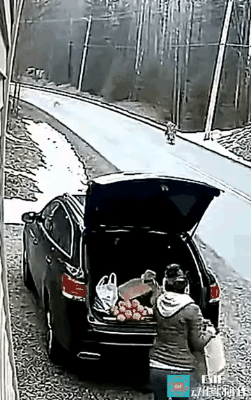 老虎:我取餐，还是慢了一点。