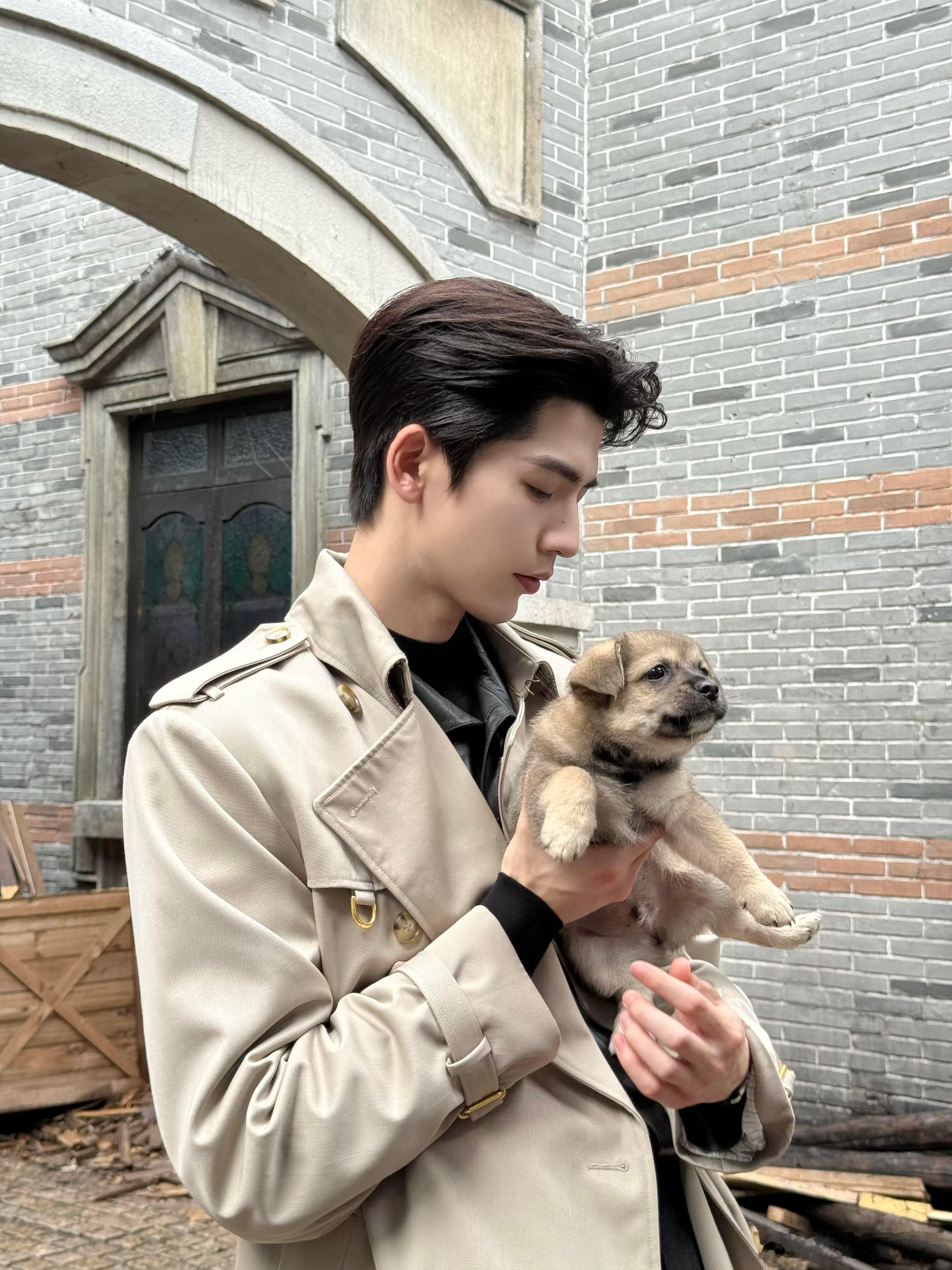小狗走开，让我来[doge][doge][doge][doge] ​​​