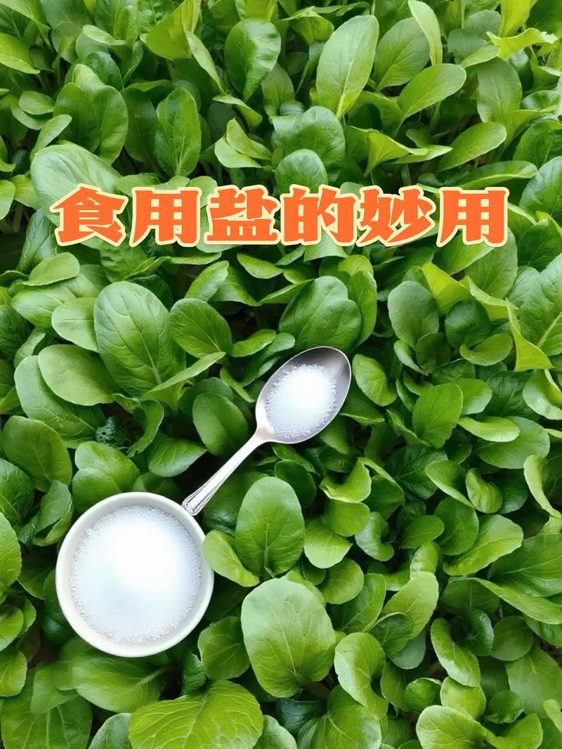 不得不感慨生活处处都是学问，一粒小小的食盐，除去调味之外，还有这么多的用处。之前