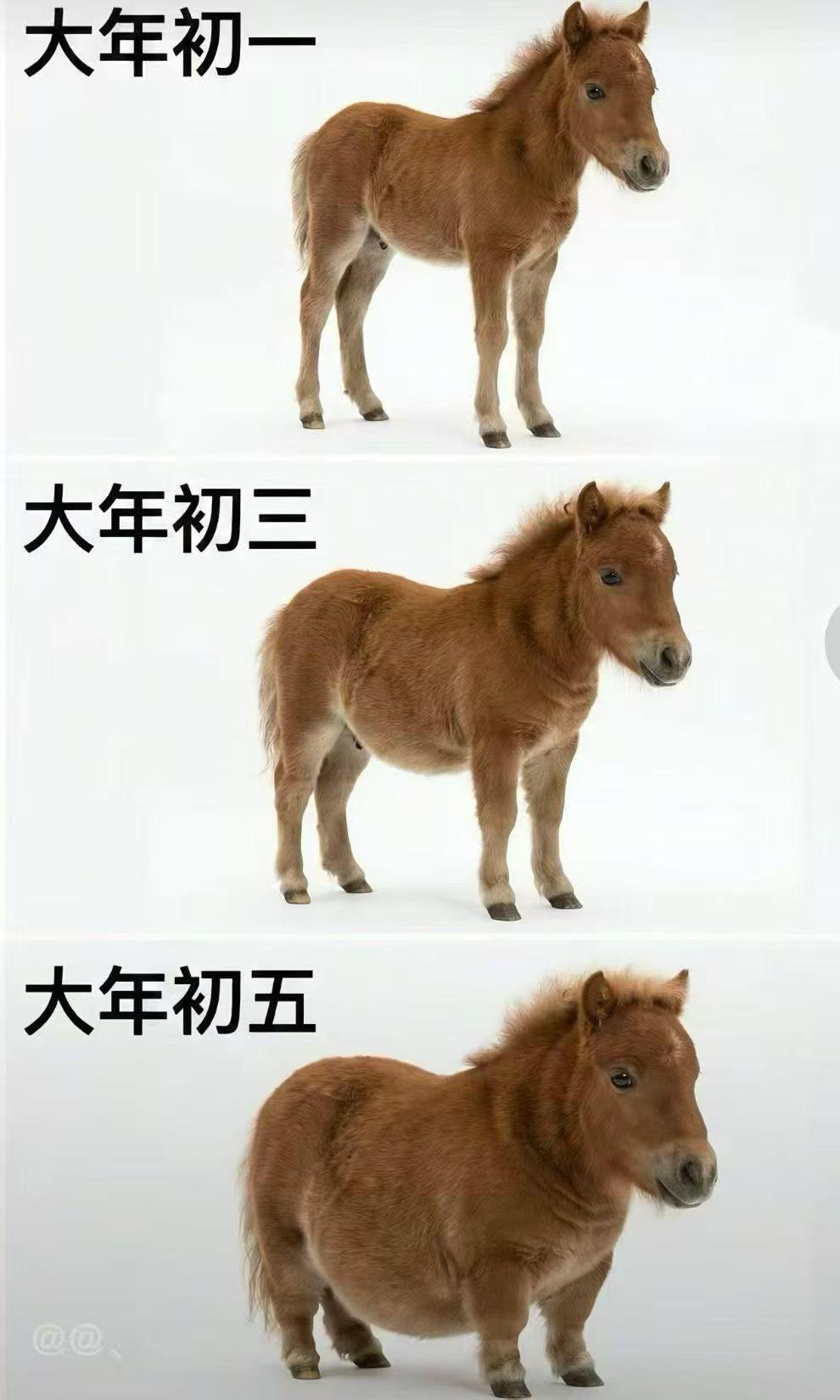 年就这样吃喝玩乐中度过，没有惊喜，也没有意外，更没有想象中的那么快乐。在这一年一