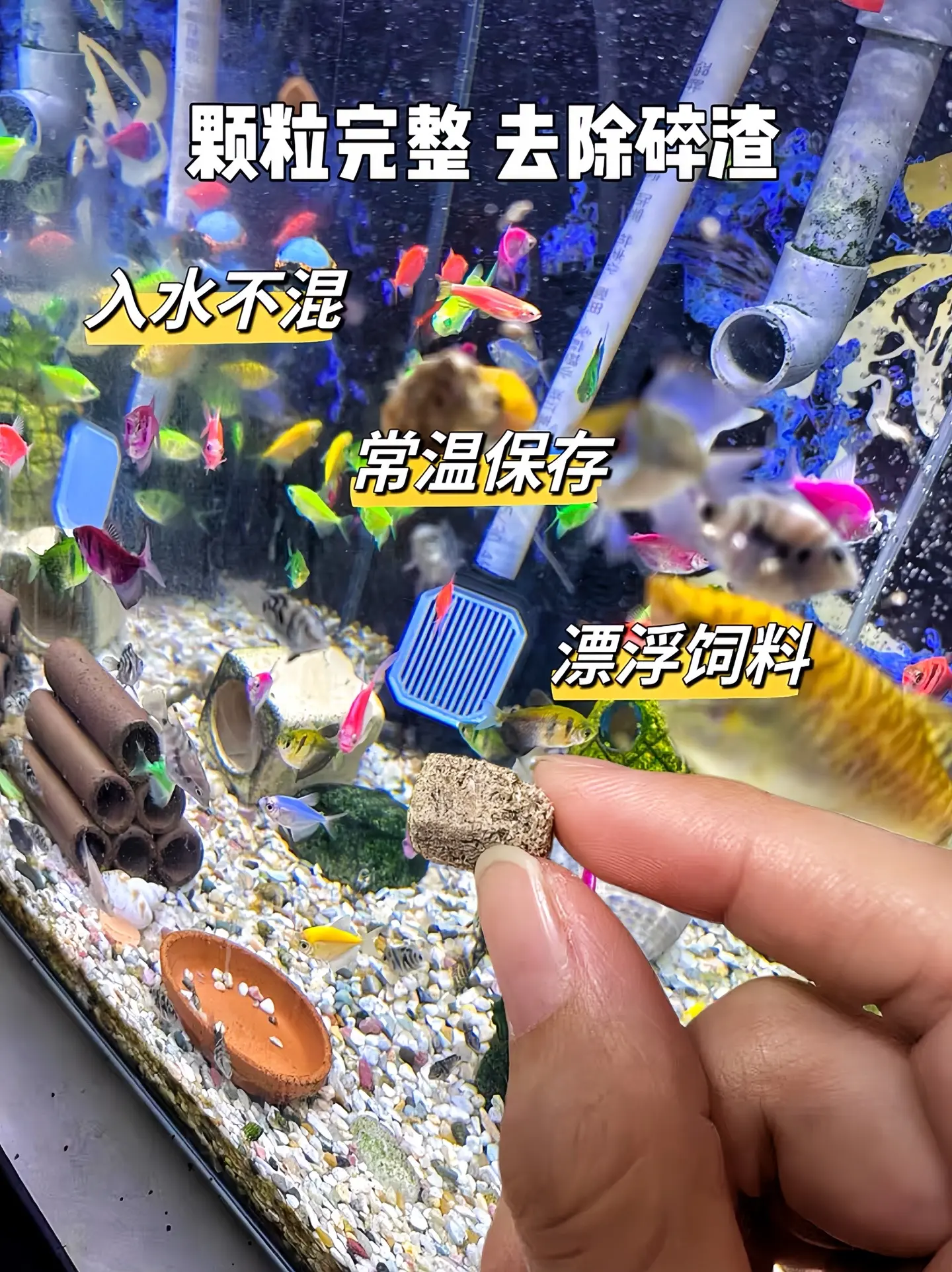 营养丰富：丰年虾本身富含蛋白质、不饱和脂肪酸等营养成分，经冻干处理后营...