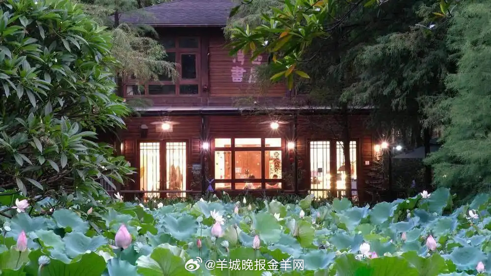 耐心，是一种力量。它让你在看不到变化的日子里依然坚持，让你在无人喝彩的时候依然努