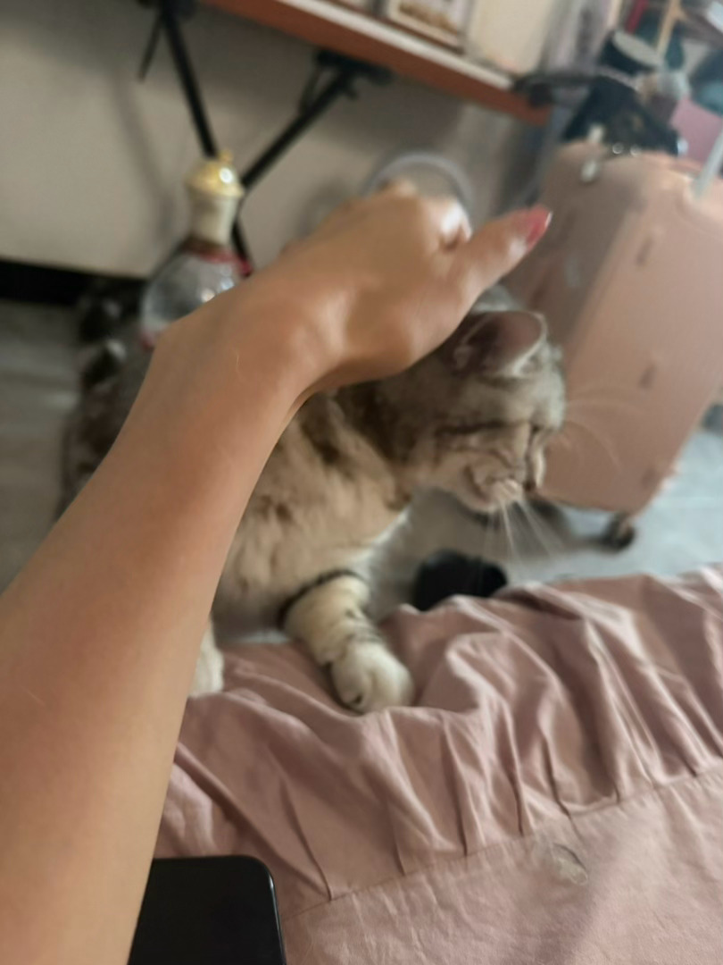想死宝宝了 