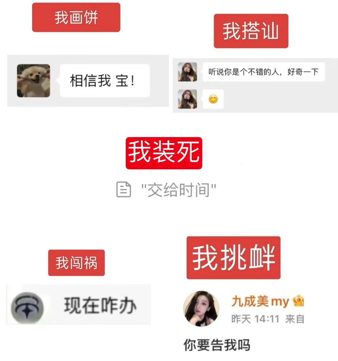 分享图片 
