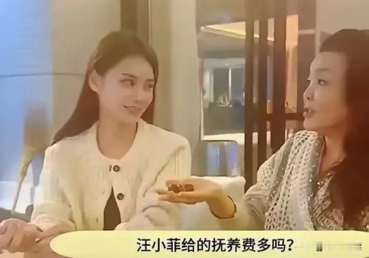 这是干嘛呢
婆媳俩这戏演的

战兰和马筱梅对话
问汪憨憨给的抚养费一事

战兰真
