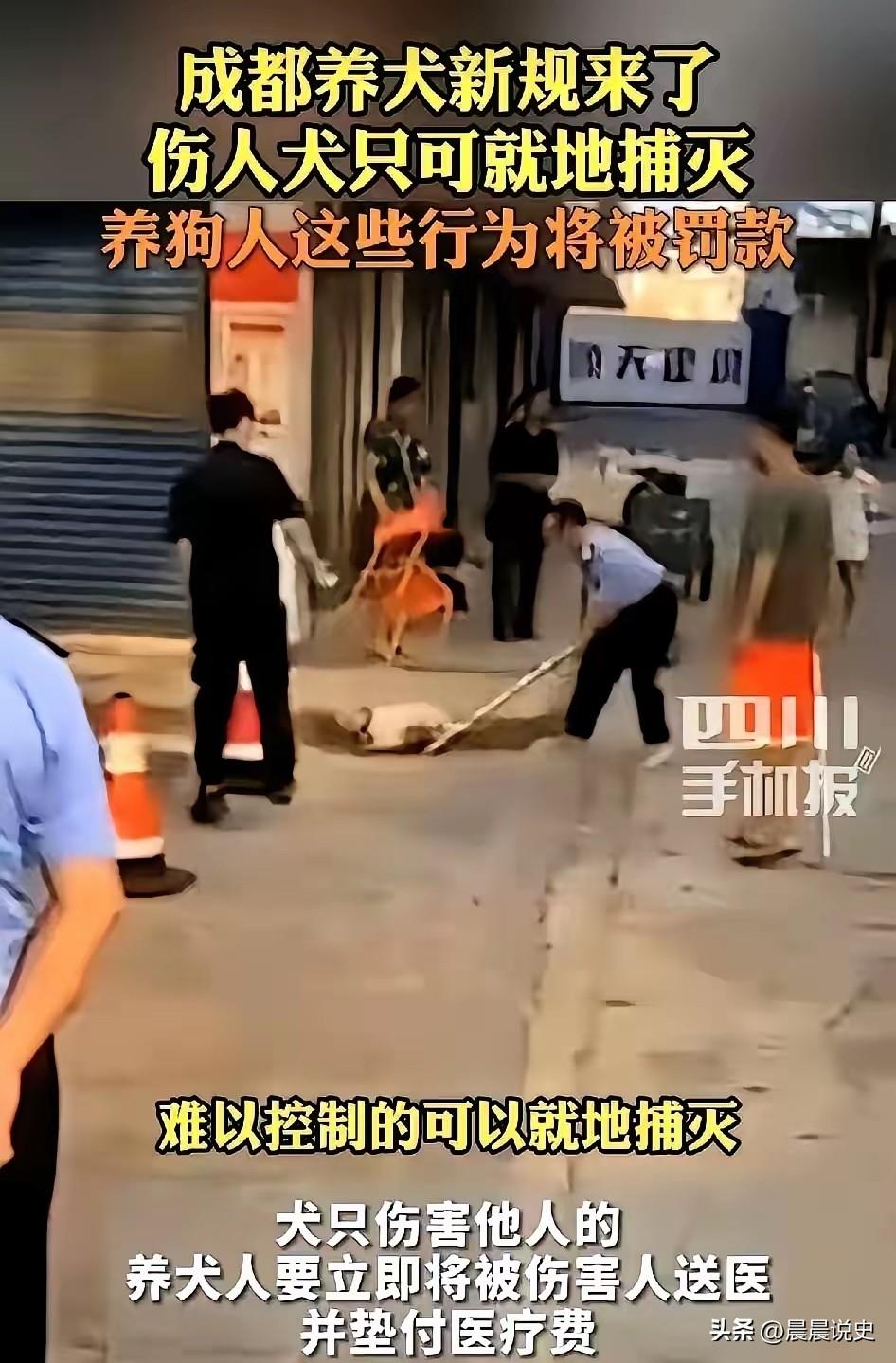 成都养犬新规，一条直接把人干懵：你的狗咬了人，甭管是不是对方先招惹的，你，必须第