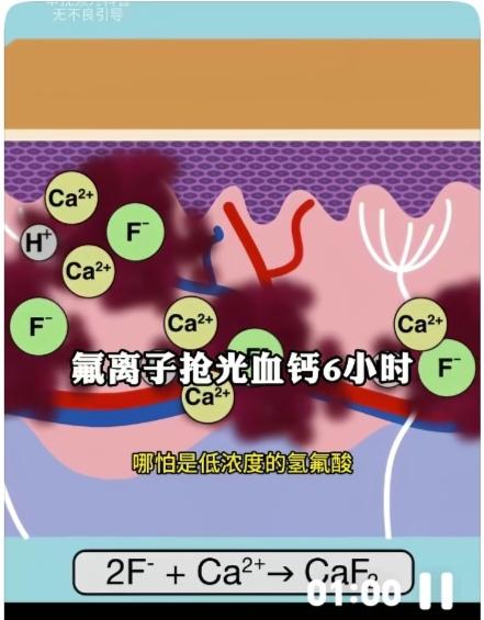 杭州屠大姐火化之际，警方锁定了“化骨水”真凶。真凶并非歹徒，而是外墙清洗工艾某斌