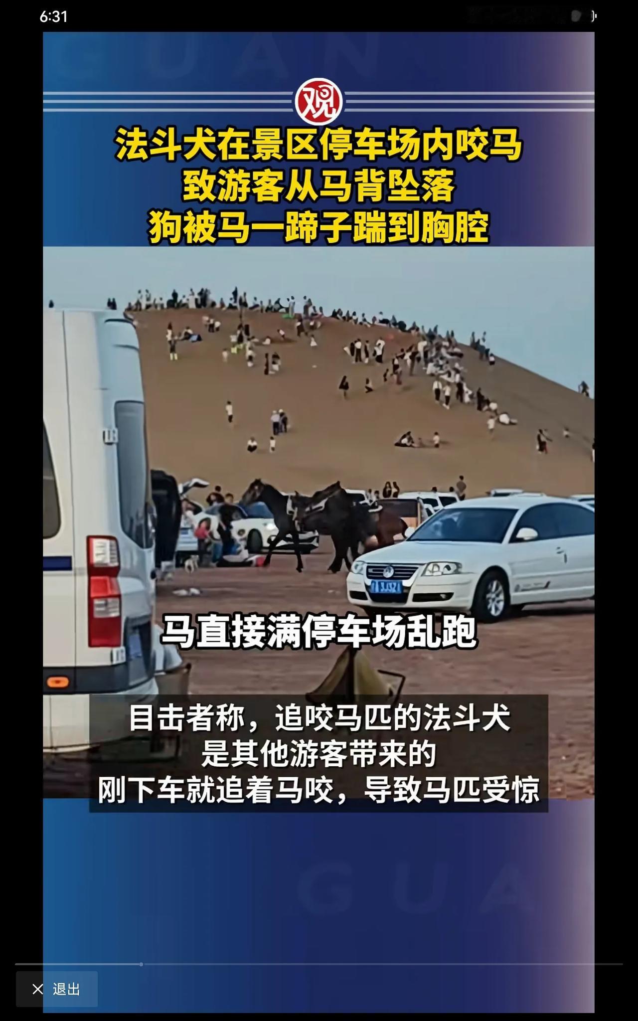 狗主人承担赔偿责任，狗被踢死，也活该。