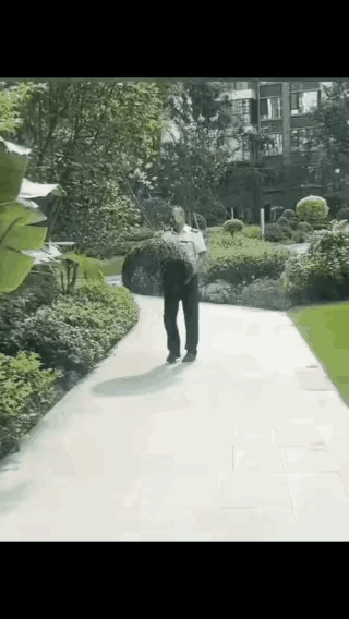 我还可以相信什么，
下次到公园去看一下，哈哈。