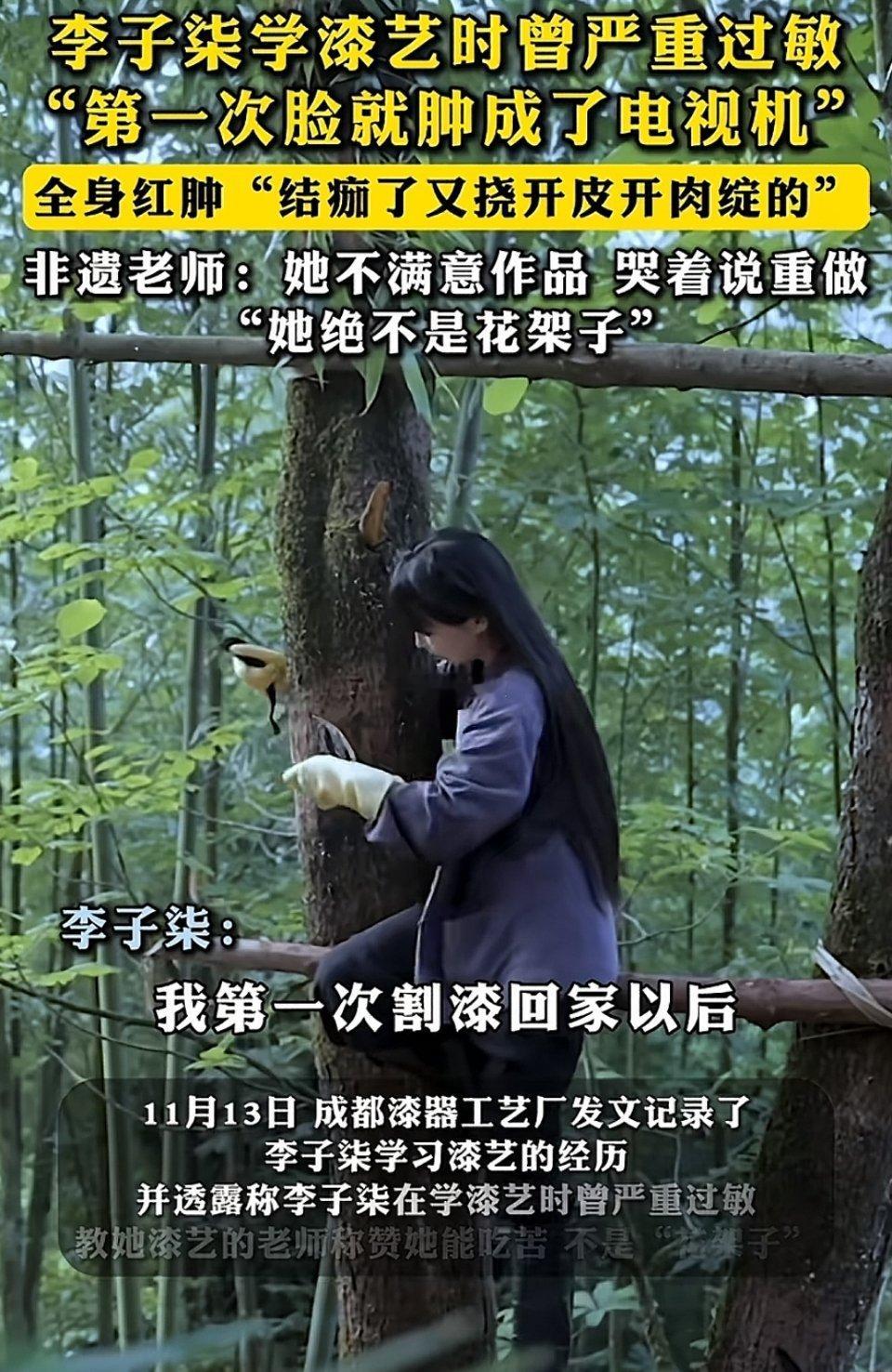 李子柒过敏满脸纱布全身红疹 李子柒之所以深受大众喜爱，不仅因为她的视频内容质量上