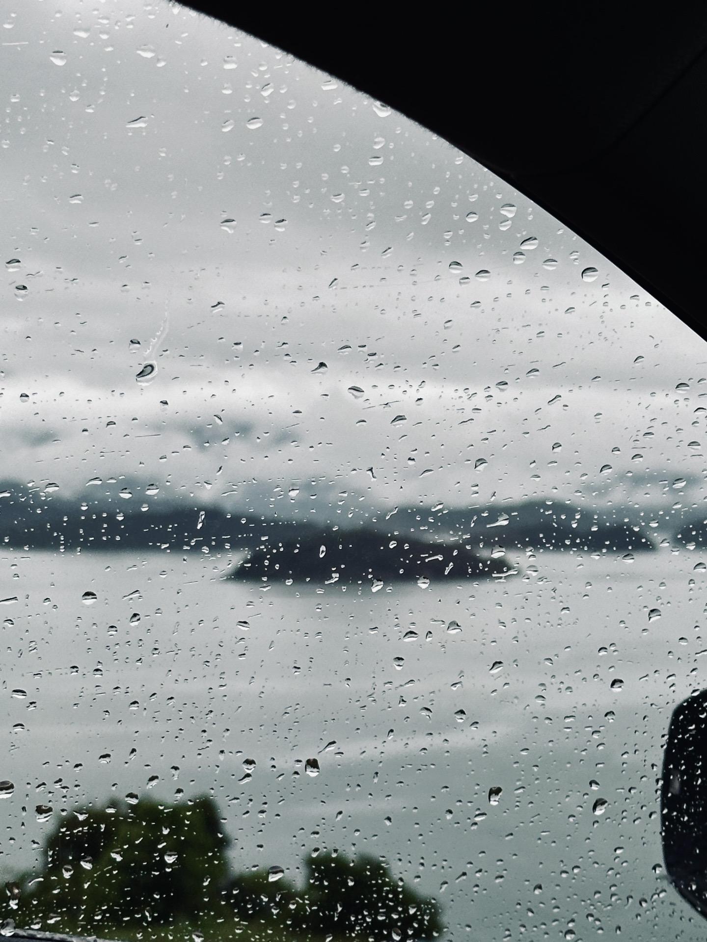 不知道为什么，后来很喜欢在雨中开车。从圣保罗一路向东，朝着里约的方向，沿着海岸线漫无目的地开着。