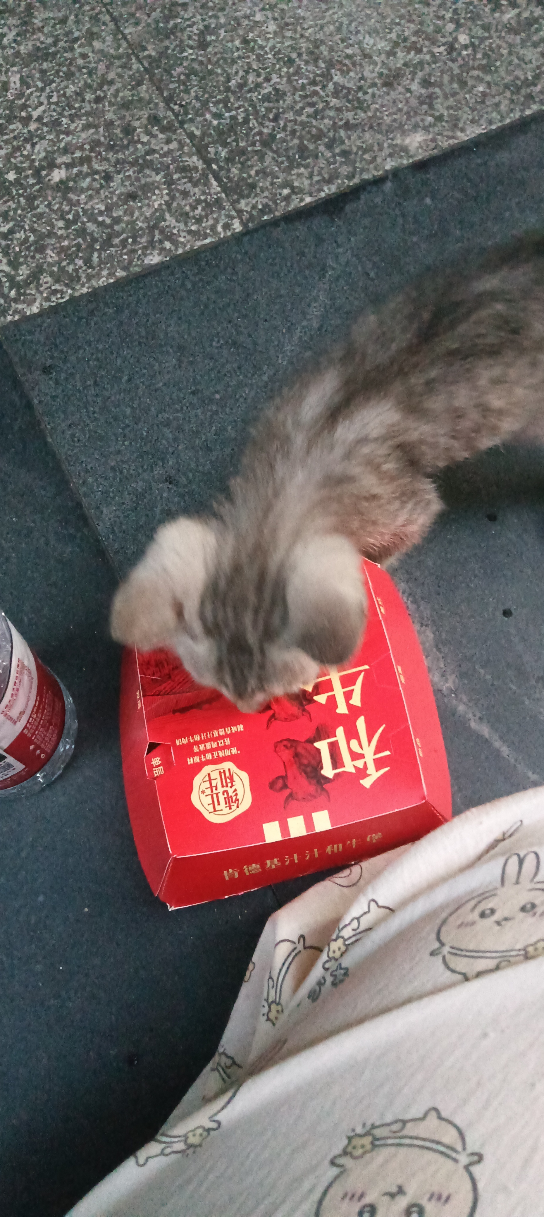 又捡一只手慢无 