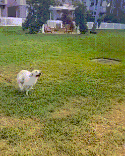 真的是迫不及待了