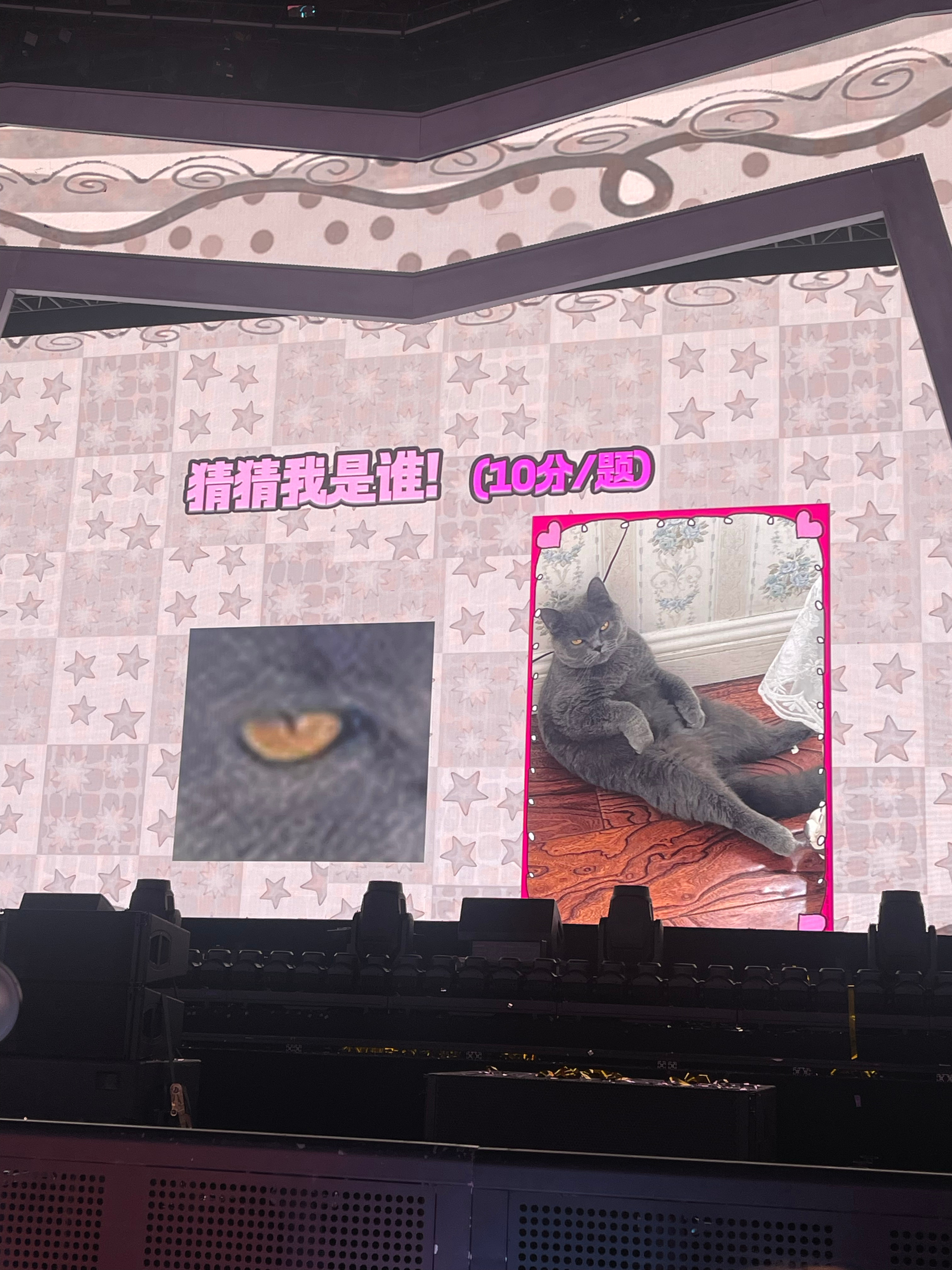 全世界正数第一喜欢面团大王 