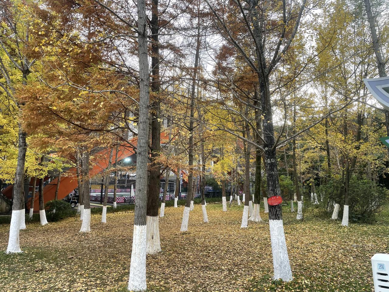 追女生真的好累
        遇到一个喜欢的女孩，是想一起过日子的那种，但真心