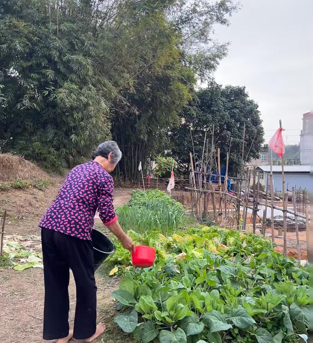 永远不要担心两小时和5公里以外的事

外婆去世了，老妈天天在家担心外公一个人
