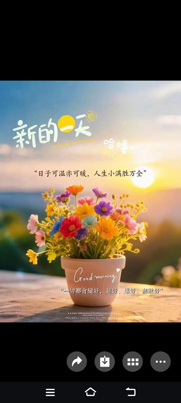 我现慕郑丽文女中豪杰。