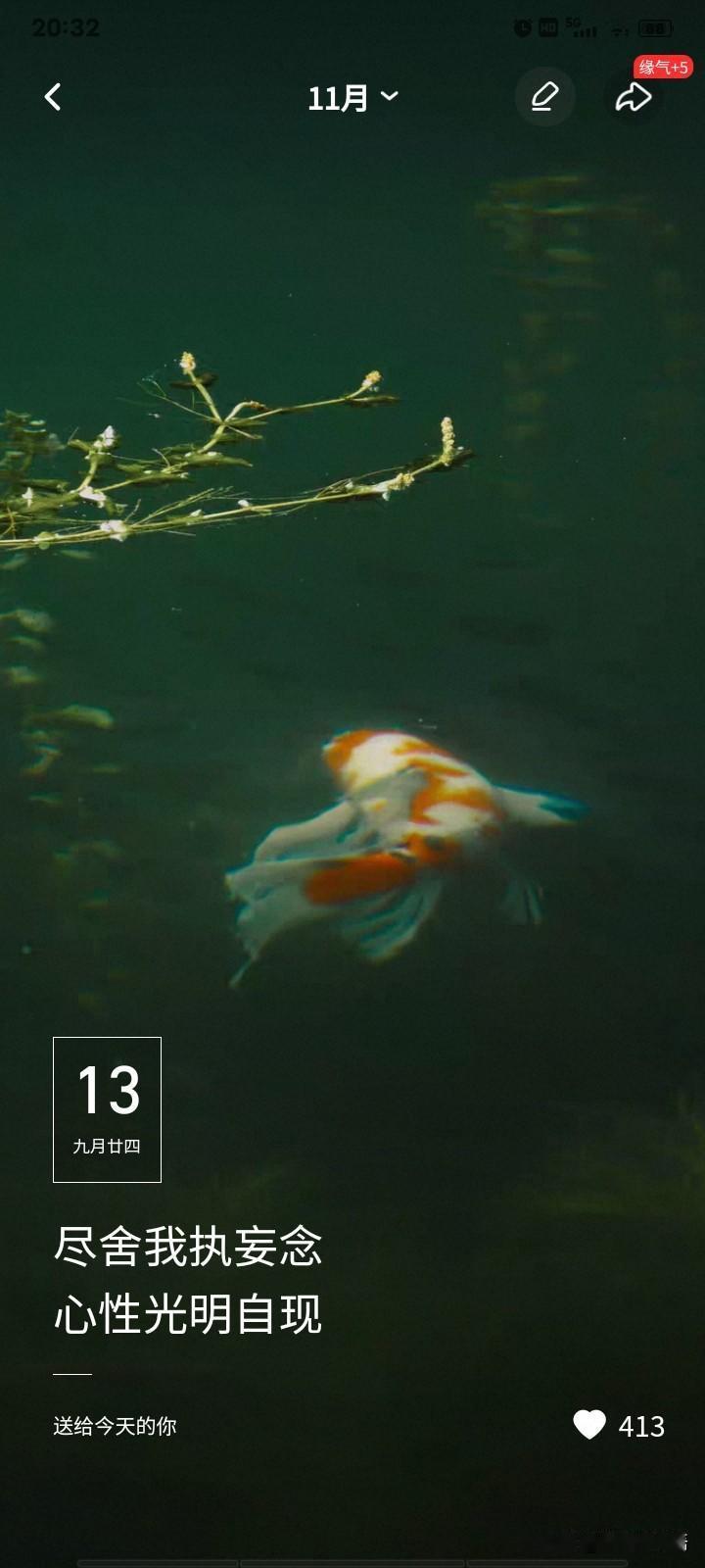 生活是用来体验的，做一名观察者，其他的都不重要[灵光一闪]