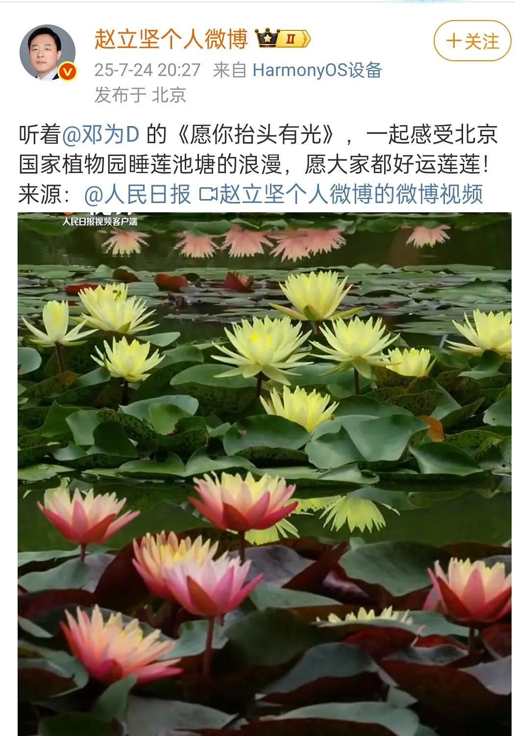 我发现好像去年开始邓为就参加一些主流活动了 ​​​