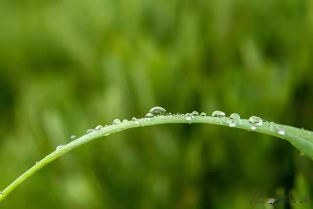 今年白露不一般，“是双日在月尾” 今年冬天冷不冷，后期雨水多不多？看看农业谚语怎