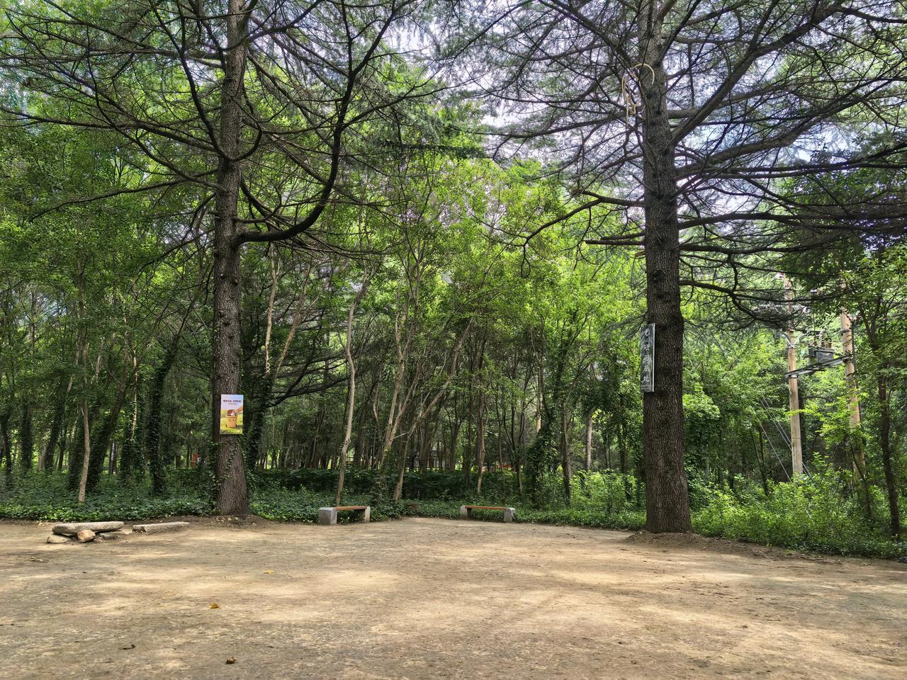 这个地方不错，四周林木环绕，夏季太阳晒不着，是个打太极拳的好地方