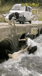 千钧一发很是惊险