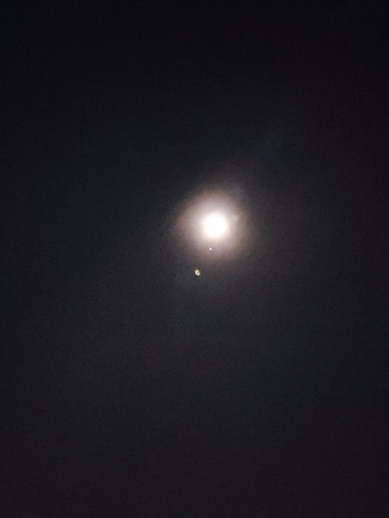 今天是金星临月吗？星星和月亮靠的好近！[呲牙]