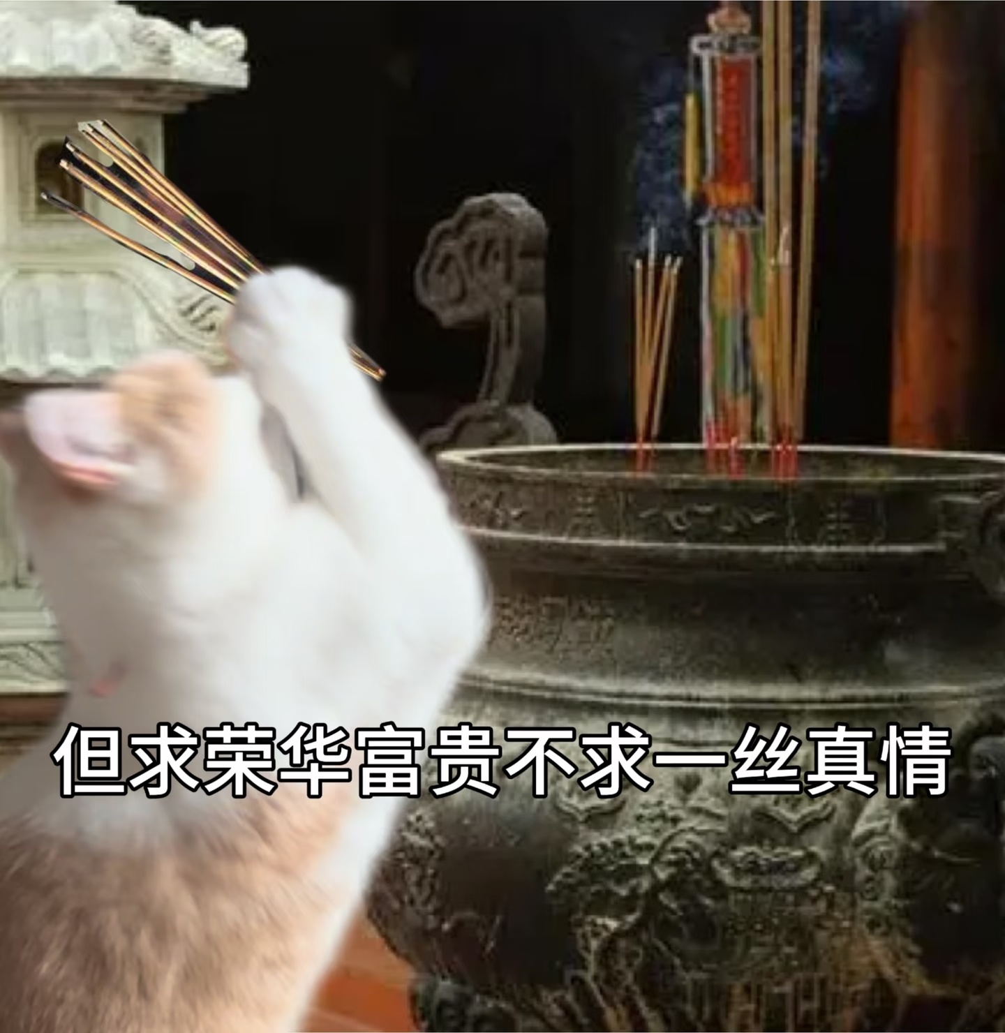 15万就能买一个人一年的朝九晚五谁是朝九晚五，这么好的工作谁在做 