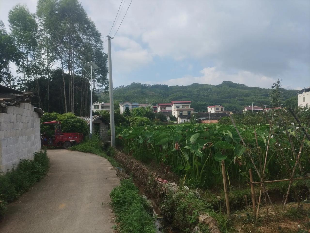 转转，散心