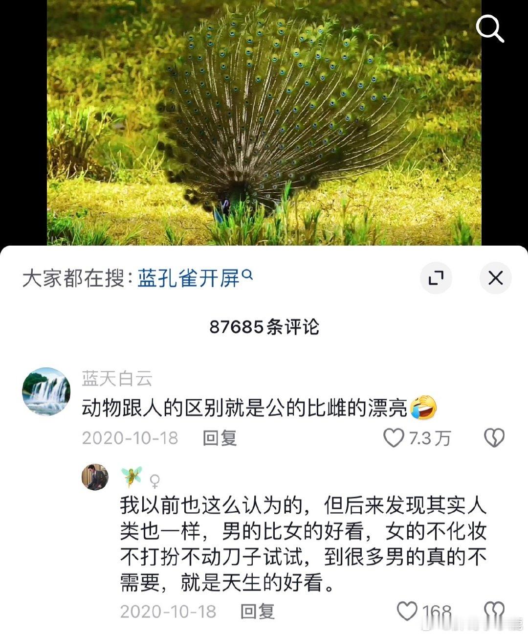 #民间艺术观察# ​​​