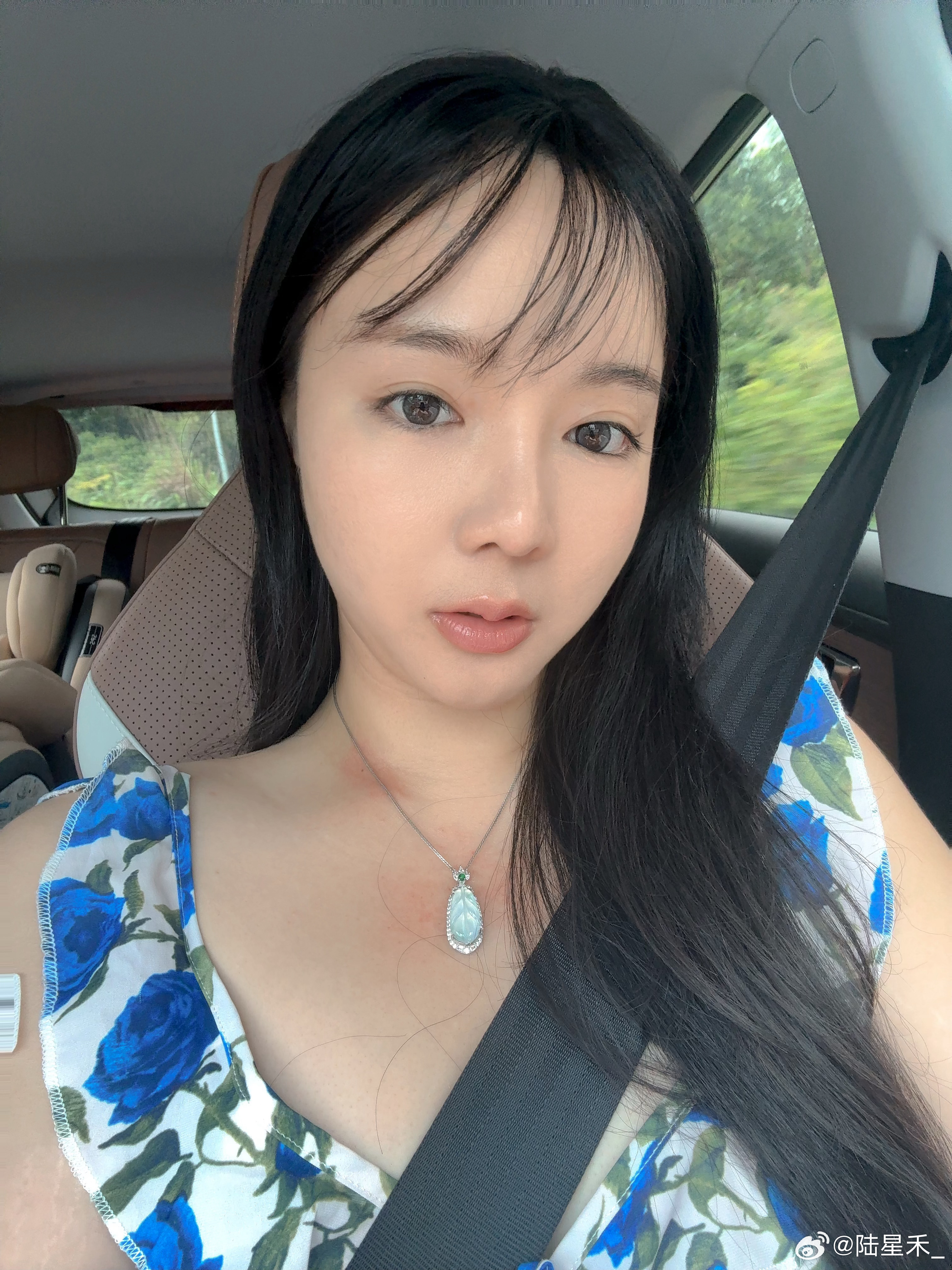 收到了新礼物 ，今天晚上就用它来开牌腊条龍治愈插画集猫猫小队 