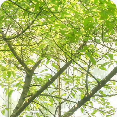 每日一善阳光信用｜每日一善生活不只是忙碌与奔波，更需要一颗温柔的心。每日行善，让