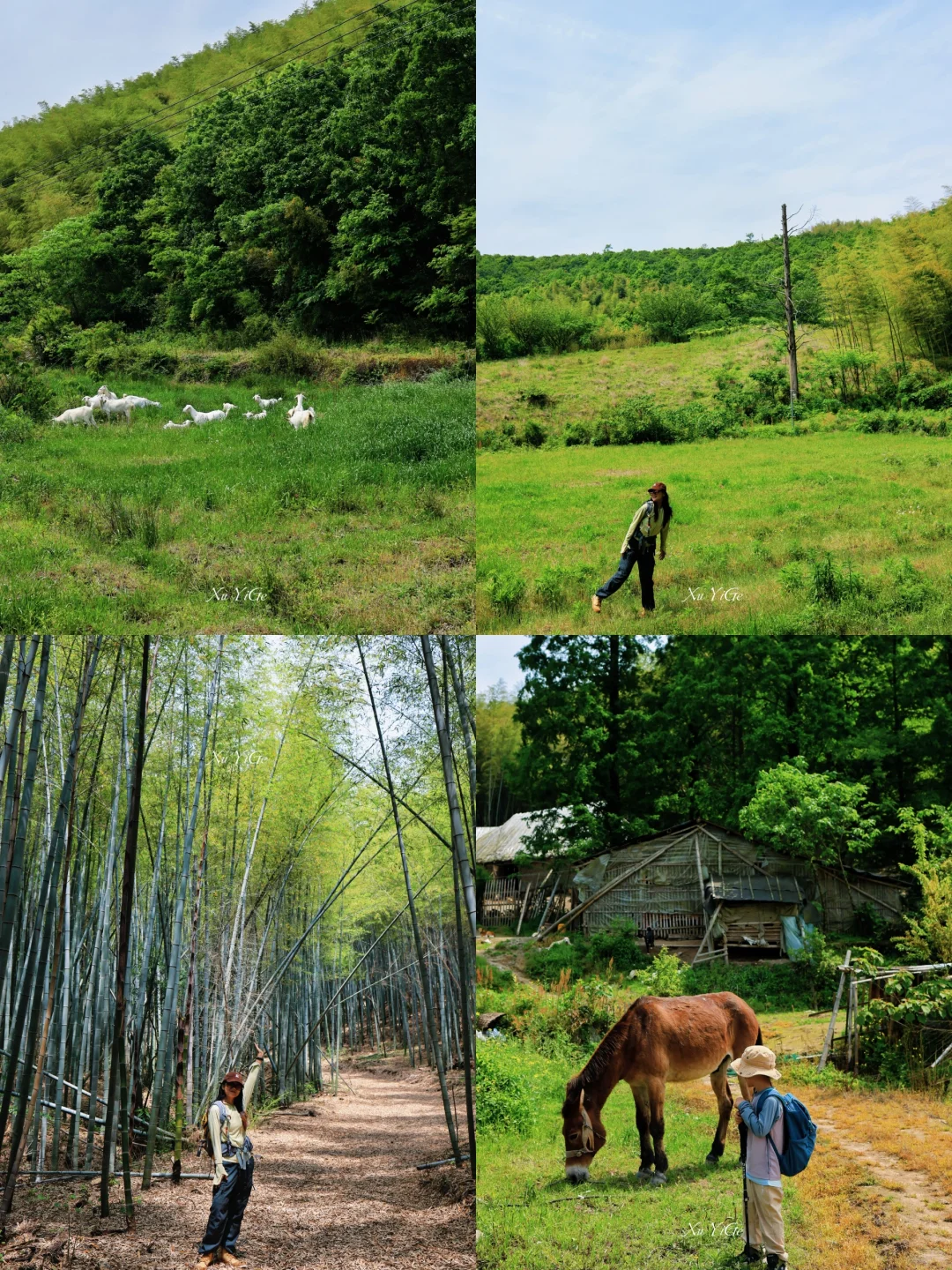 亲子徒步｜覆盆子管够的任佳溪—高山寺环线