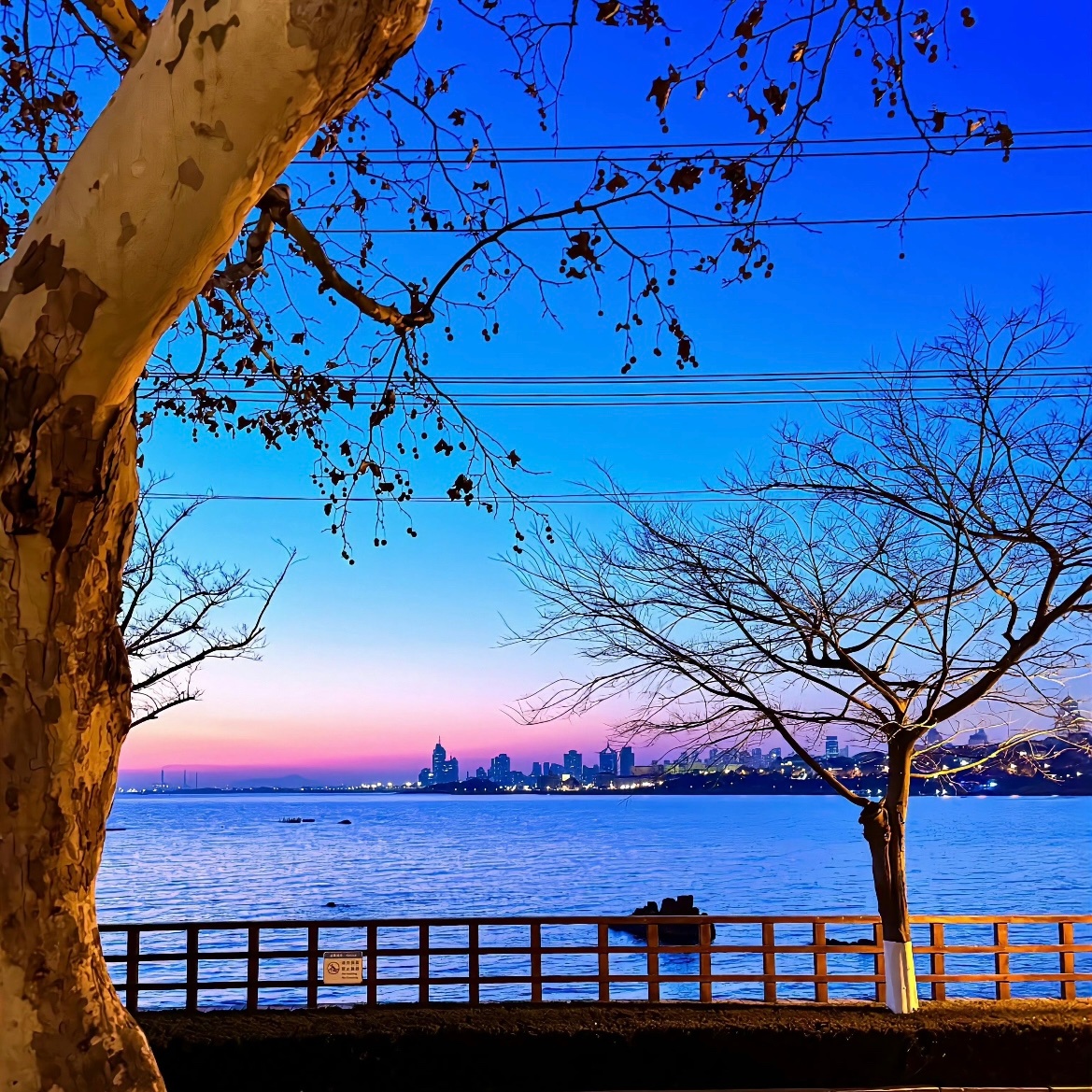 阳光信用 🌾每日一善 🌾阳光信用   每一天都是新的篇章，用微笑迎接朝阳，用