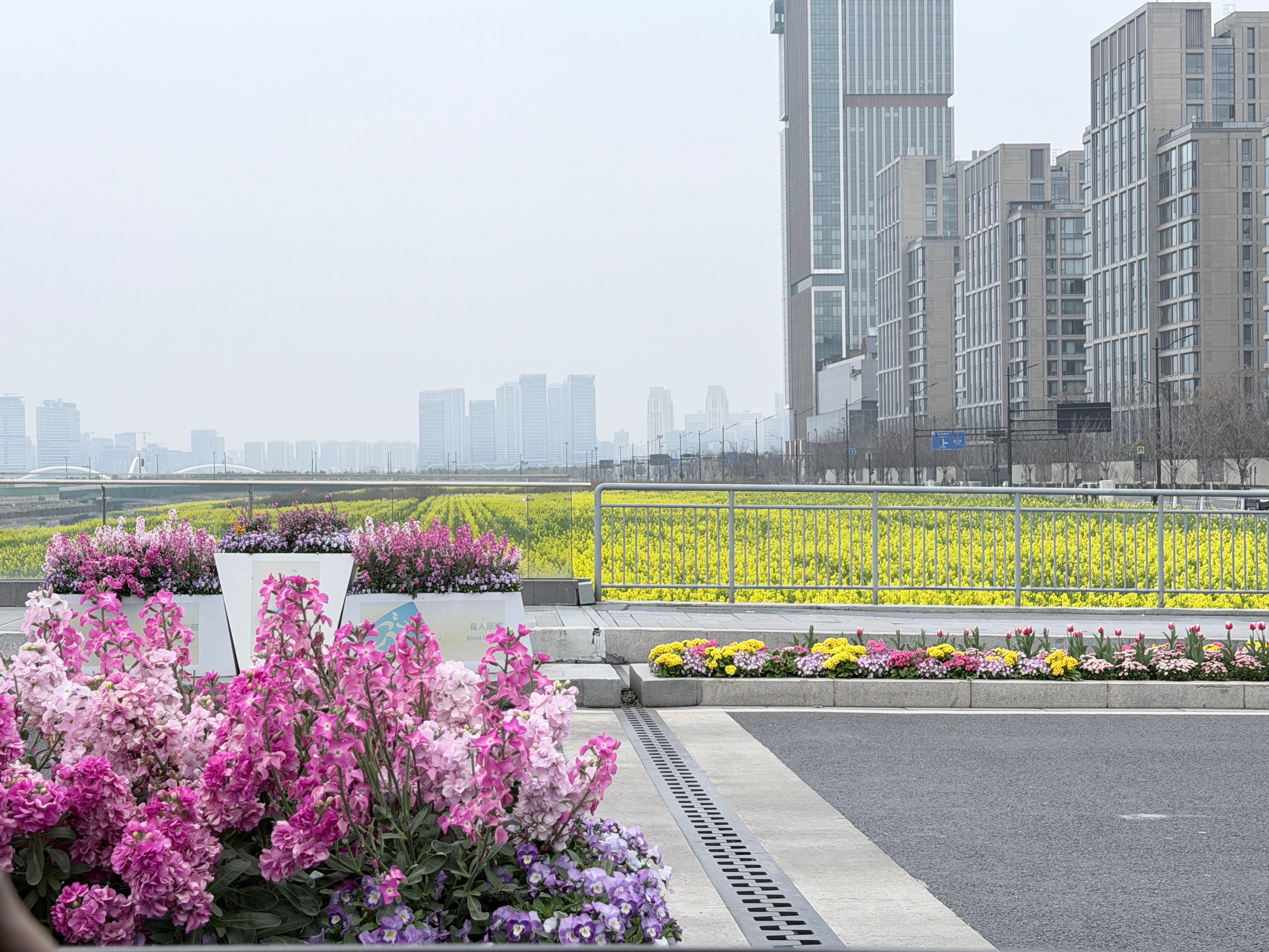 减肥也会上瘾 杭州