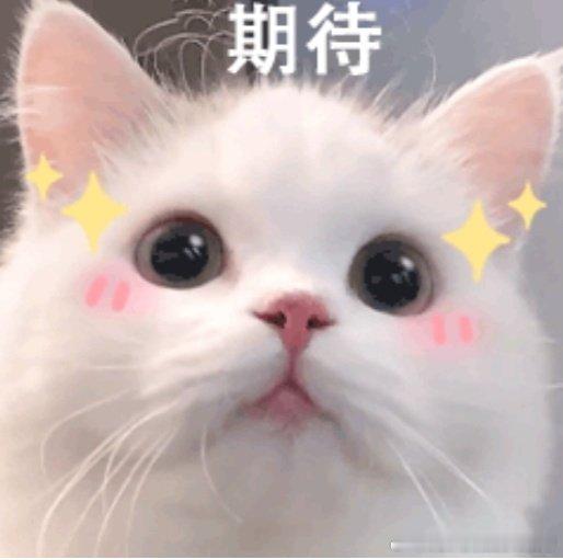 这届年轻人开始集体跨秋了明明室外还是盛夏高温，身体还在忍受燥热，精神已经率先奔赴