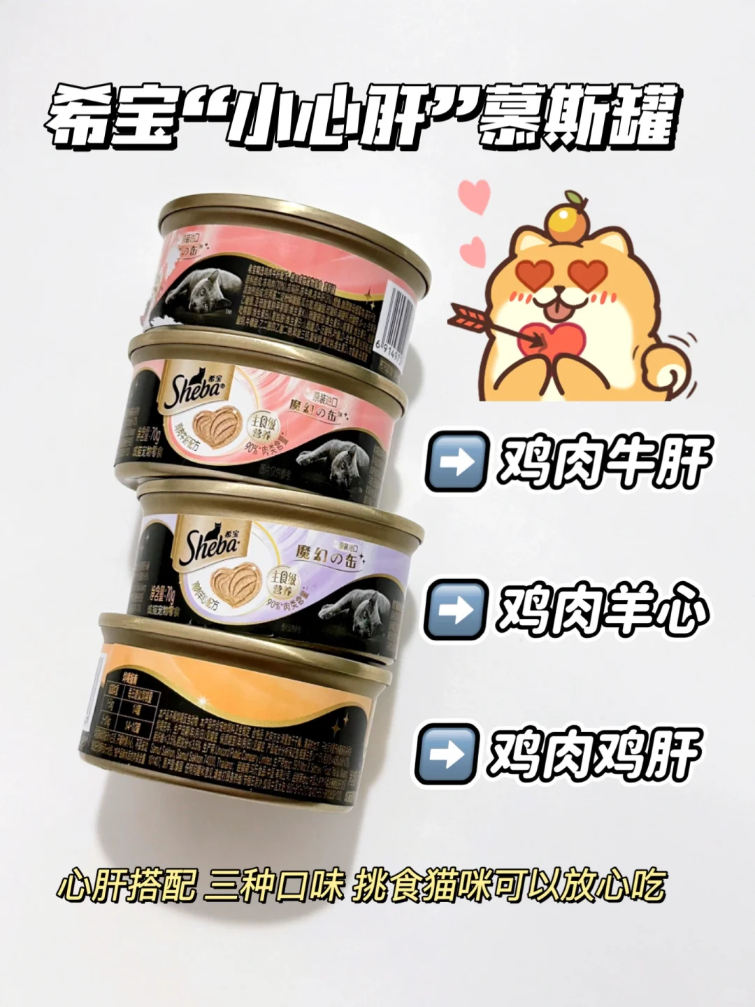 养猫多年经验 如何挑选主食猫罐！