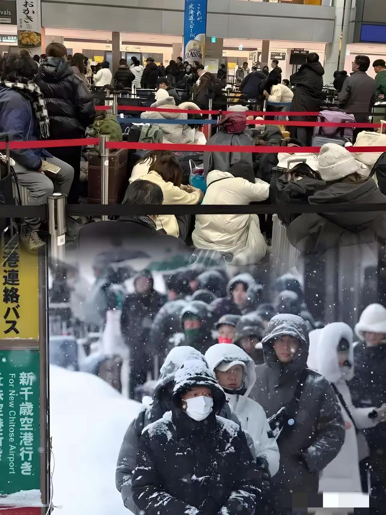 刷到北海道机场的照片
我是真没忍住想骂两句
​大冷天的躺冰凉地板上，一个个乖得跟